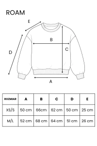 ROAM.webp